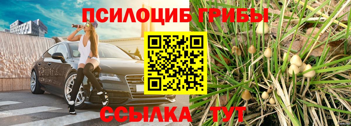 Химки  Галлюциногенные грибы MAGIC MUSHROOMS  Вход с VPN 