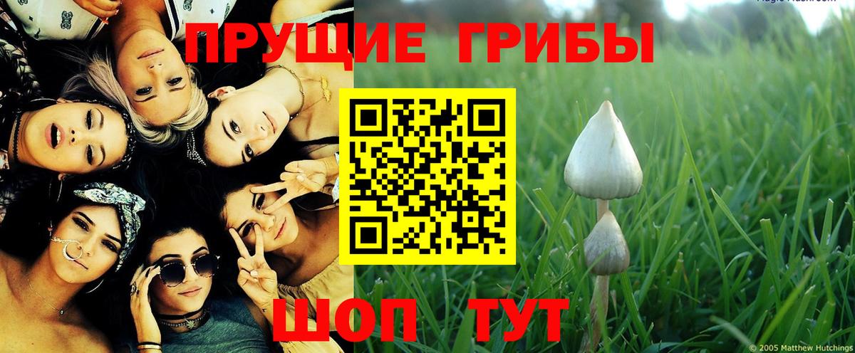 Псилоцибиновые грибы MAGIC MUSHROOMS Химки